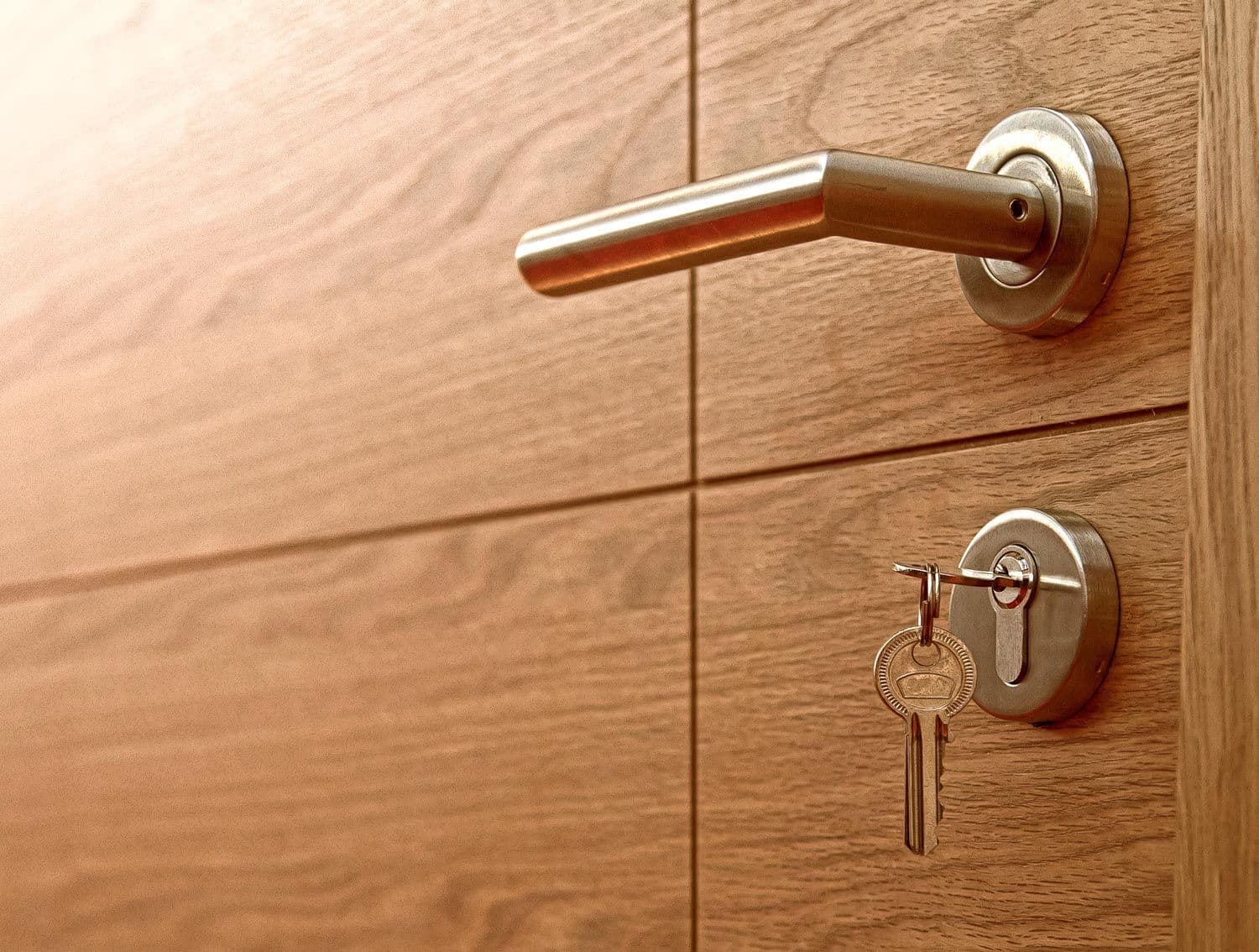 Door lock and key